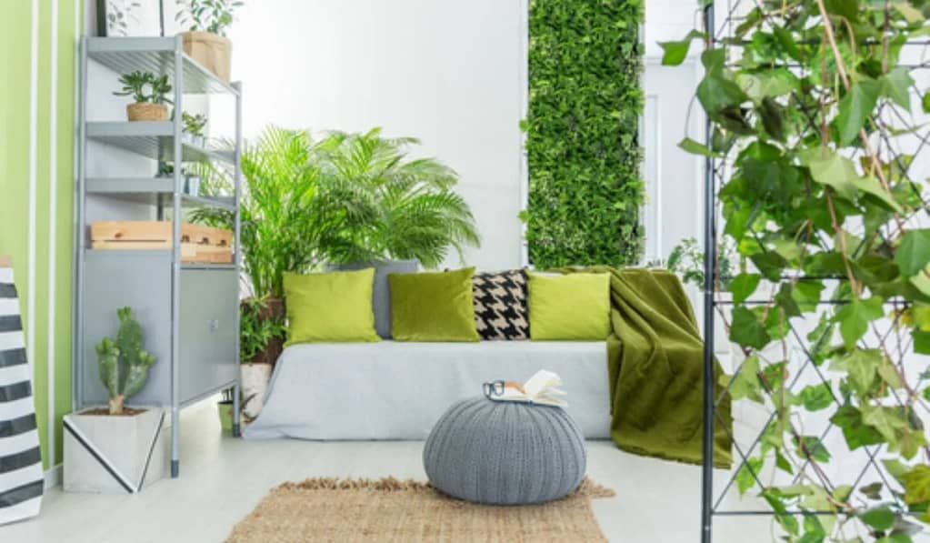 Crearea unei oaze verzi în locuința ta, este un mare plus pentru tine și spațiul tău. În zilele aglomerate și stresante, avem nevoie de un loc în care să ne relaxăm și să ne reîncărcăm bateriile. 
